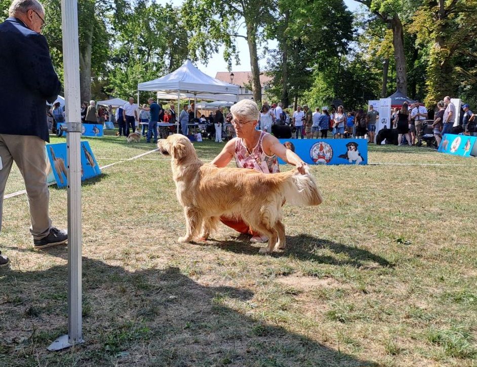 Ulan Des Sablons D'Or