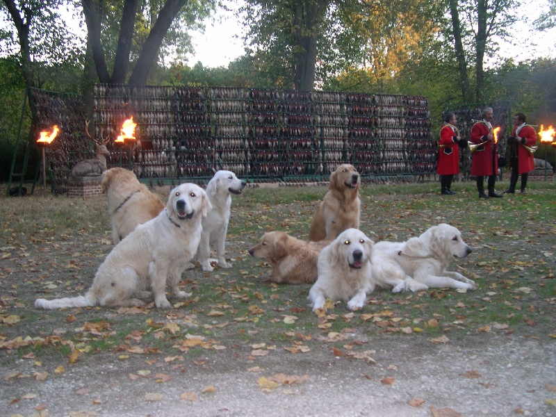  chasse et concours